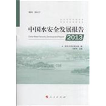 2013-中国水安全发展报告