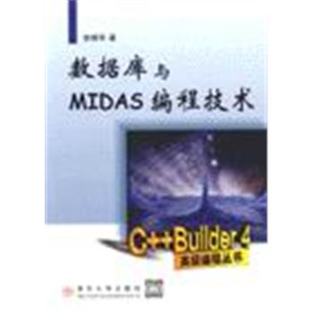数据库与MIDAS编程技术