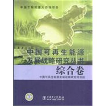 综合卷-中国可再生能源发展战略研究丛书