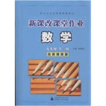 数学-九年级 全一册-北京课改版-新课改课堂作业